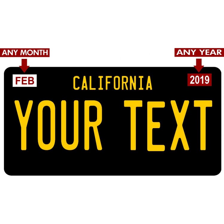 LPO4573 Custom State Personalized Novelty Photo License Plate