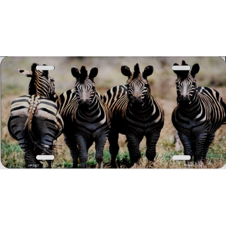 LP-3427 6 x 12 in. Zebra Dazzle Metal License Plate