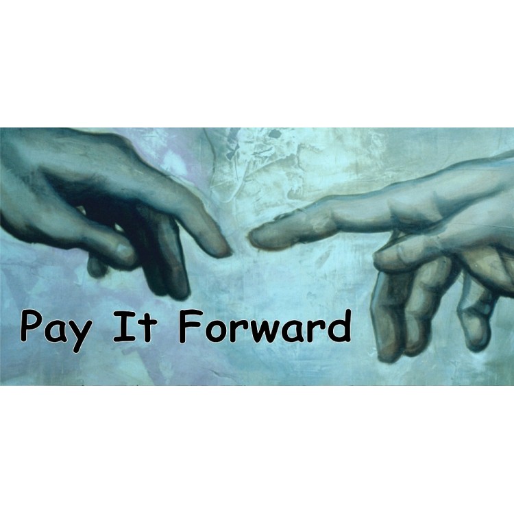 LPO2681 6 x 12 in. Pay It Forward Photo License Plate