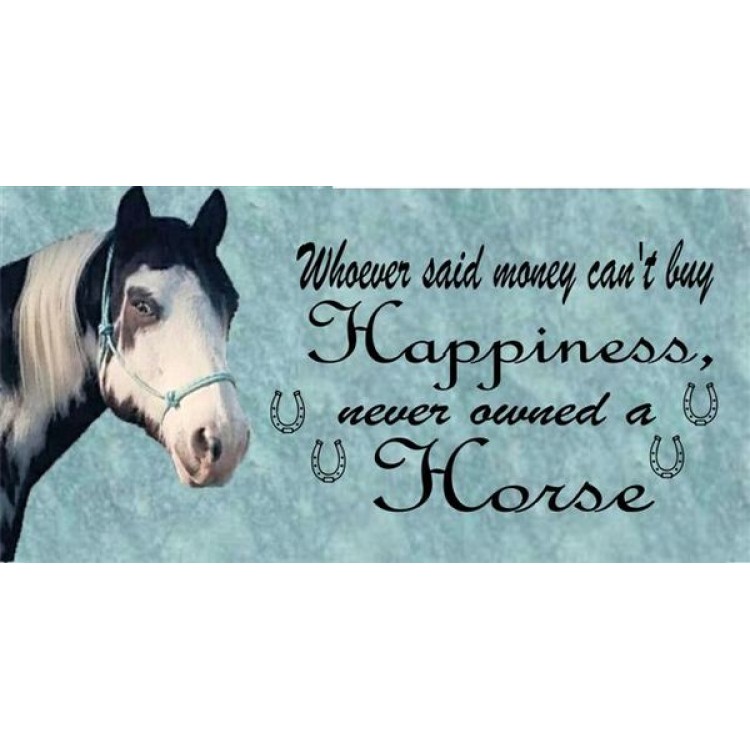 LPO1720 Whoever Said Money Cannot Buy Happiness License Plate