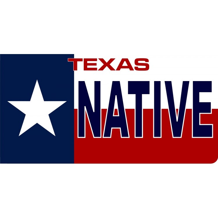 LPO1876 6 x 12 in. Texas State Flag Native Photo License Plate