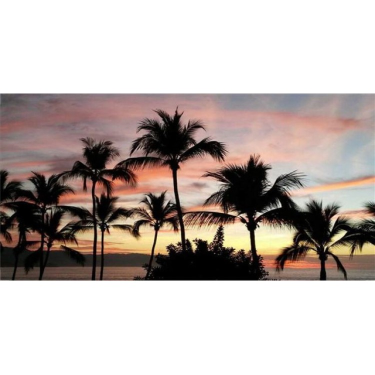 LPO1911 Palm Trees at Sunset Photo License Plate