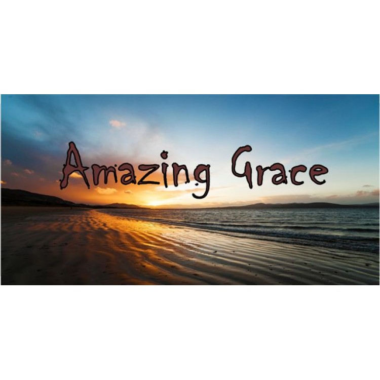 LPO1941 6 x 12 in. Amazing Grace Beach Scene Photo License Plate