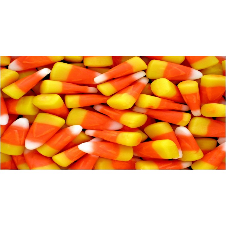 LPO4745 6 x 12 in. Candy Corn Plate Photo License Plate