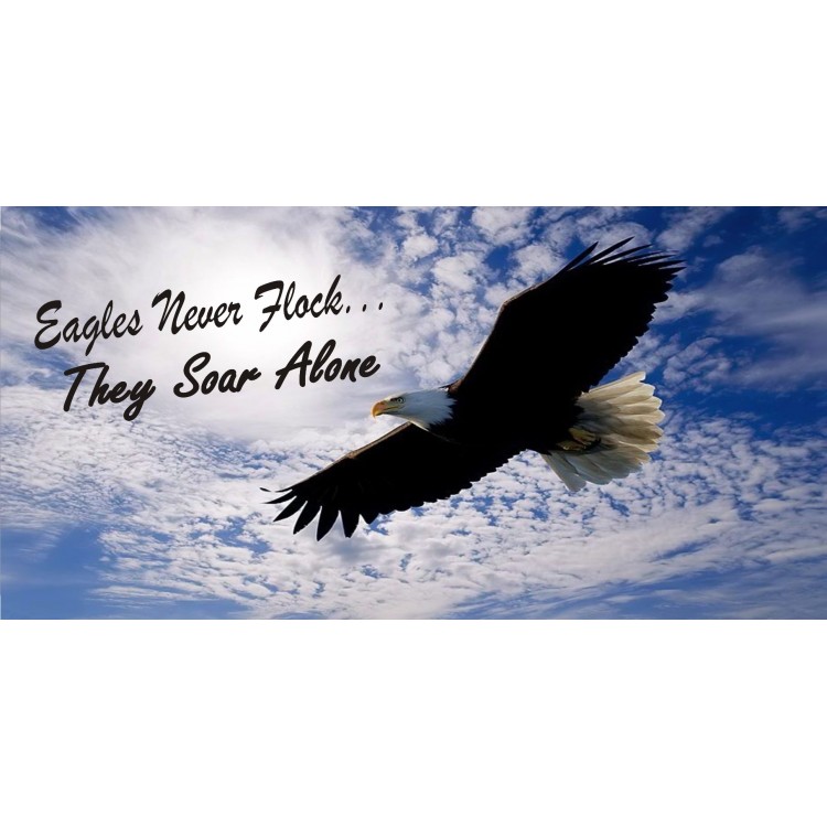 LPO4861 6 x 12 in. Eagles Never Flock Photo License Plate