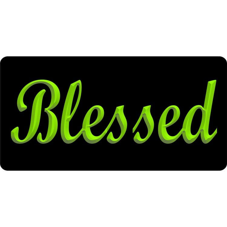 LPO6548 6 x 12 in. Blessed 3D Chartreuse Photo License Plate