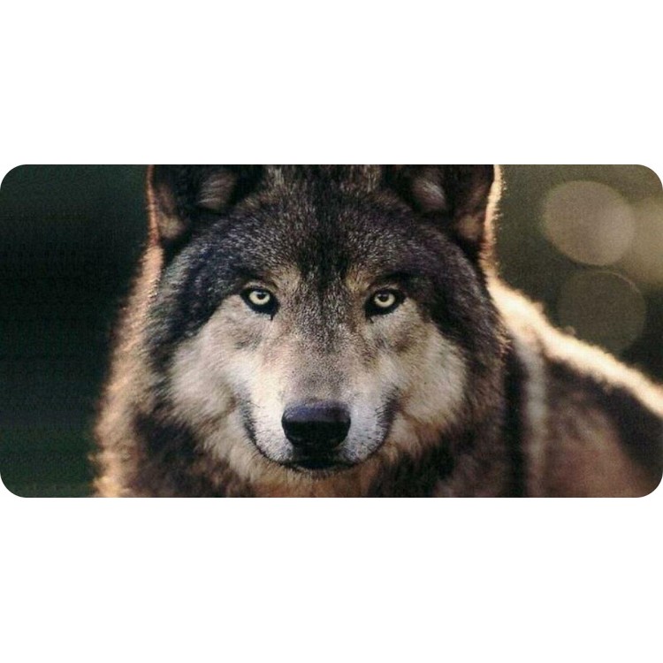 LPO6732 6 x 12 in. Wolf Photo License Plate
