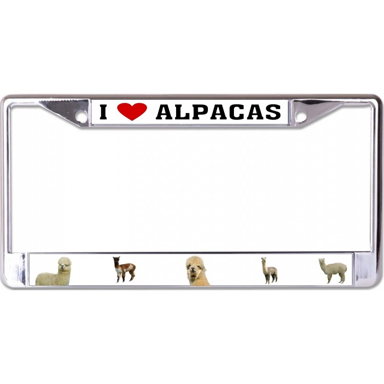 LPO6790 6 x 12 in. I Love Alpacas Chrome License Plate Frame