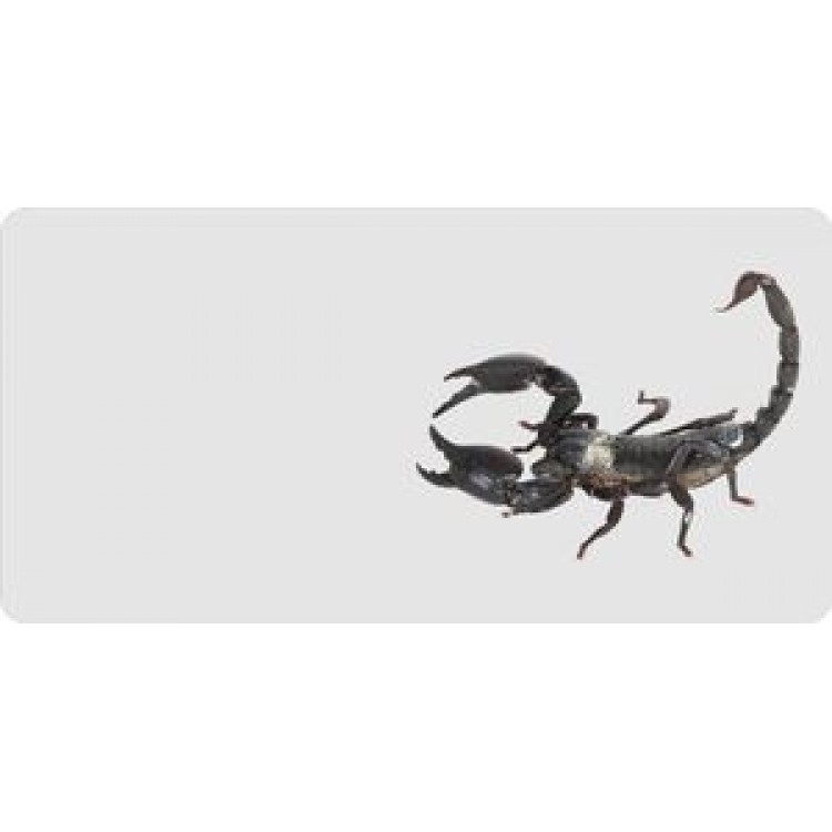 LPO689 Scorpion Offset on White Photo License Plate