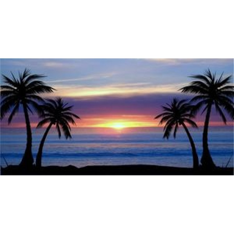 LPO683 6 x 12 in. Blue Palm Tree Sunset Photo License Plate