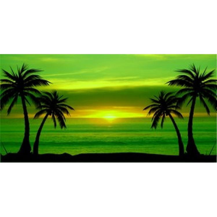 LPO684 Green Palm Tree Sunset Photo License Plate