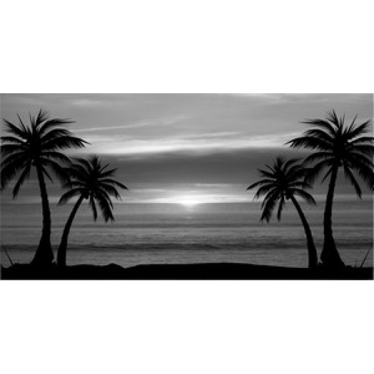 Gray Palm Tree Sunset License Plate - Gray - Full Size - Weatherproof