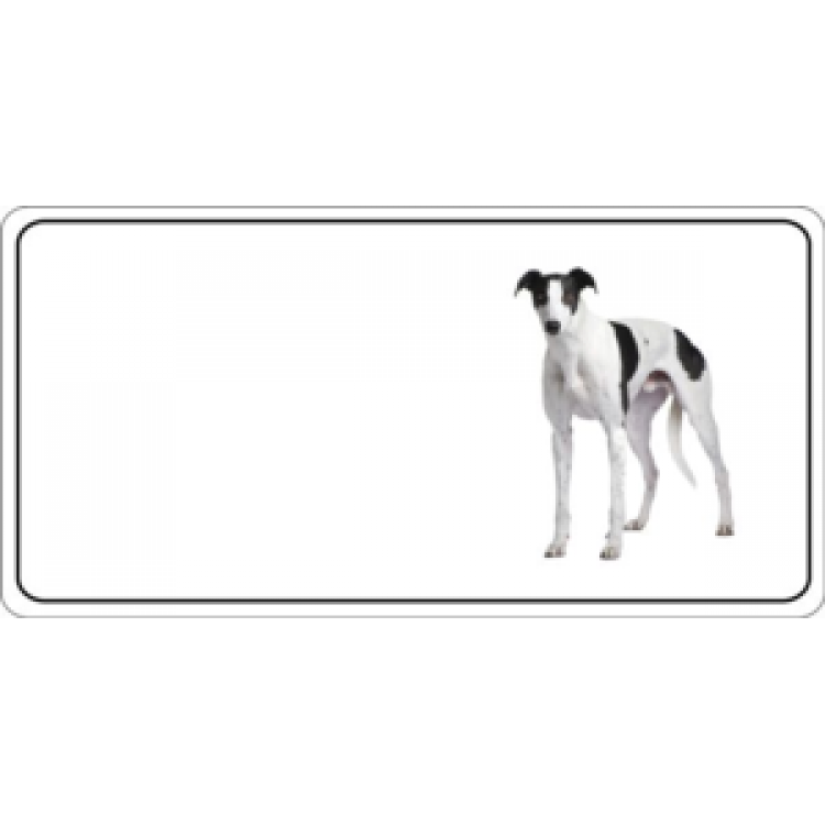 LPO543 Grayhound Dog Photo License Plate