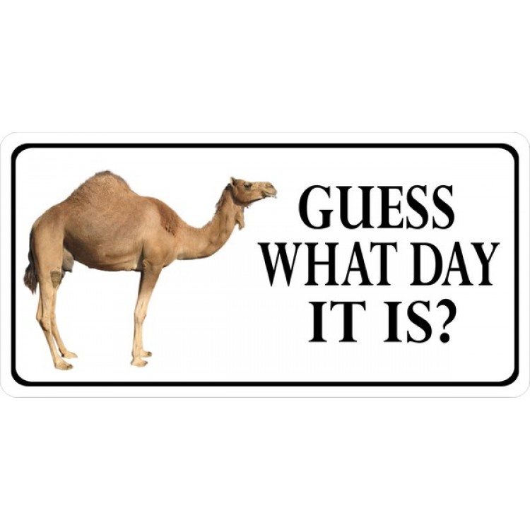 LPO1401 Guess What Day It is Photo License Plate
