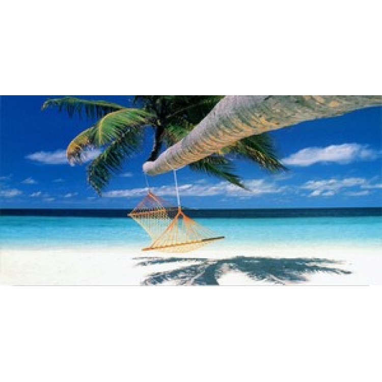 LPO529 Hammock Hanging From Palm Photo License Plate
