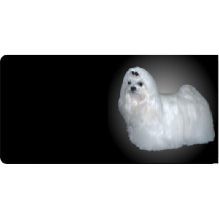 LPO545 Maltese Dog Photo License Plate
