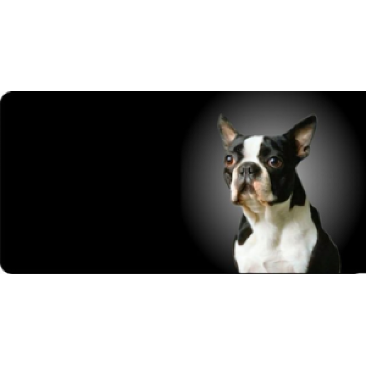 LPO508 Boston Terrier Dog Photo License Plate