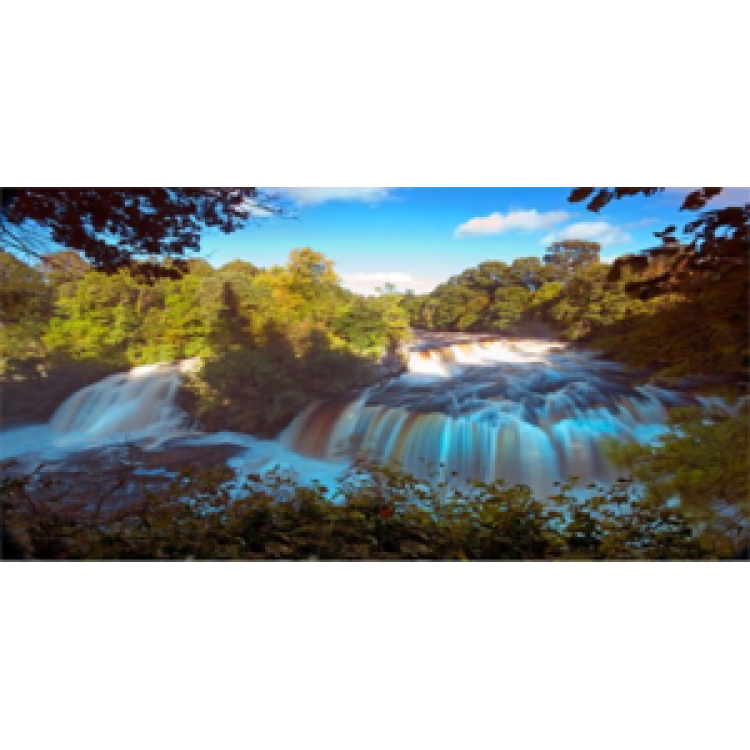 LPO496 Waterfall License Plate