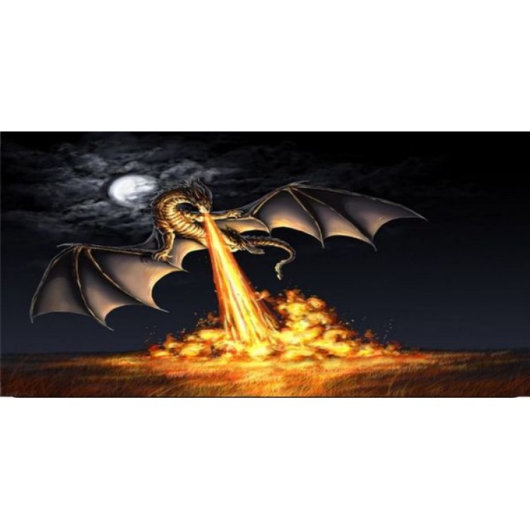 LPO1500 Dragon Black Photo License Plate