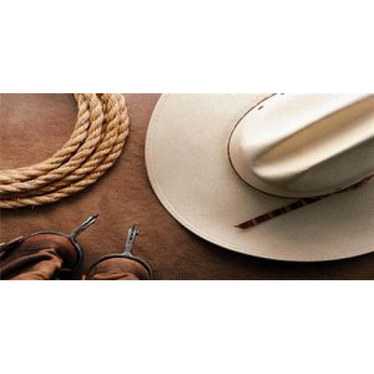 LPO833 Hat, Rope & Spurs Photo License Plate