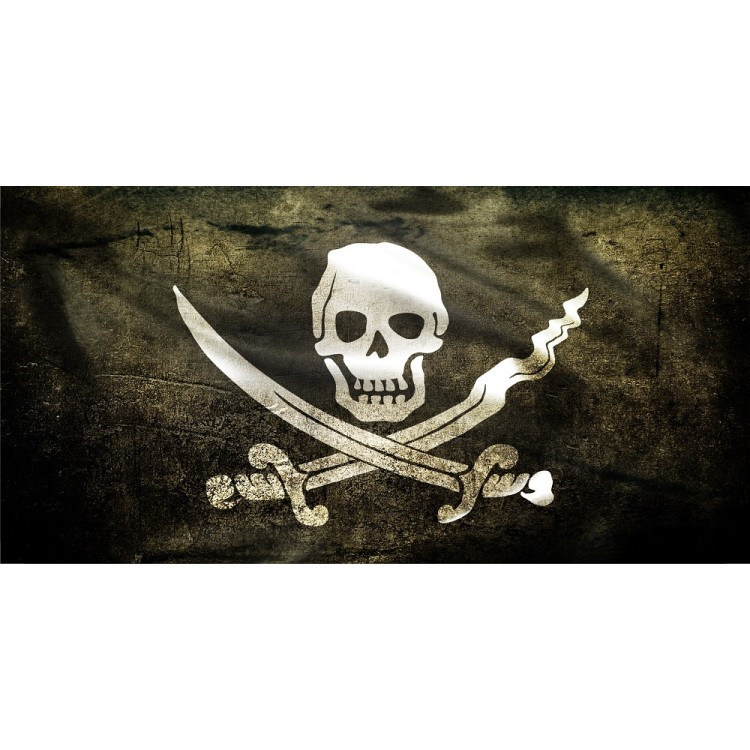 Jolly Roger Skull & Crossbones License Plate - Black/White - 6 x 12 in. - Weatherproof