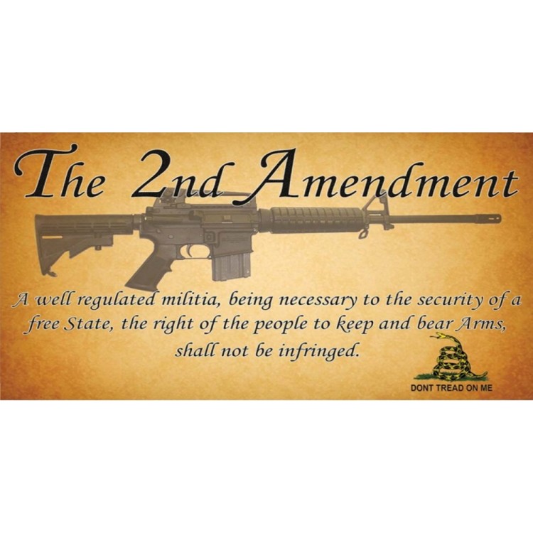 LPO2704 6 x 12 in. The 2nd Amendment Photo License Plate