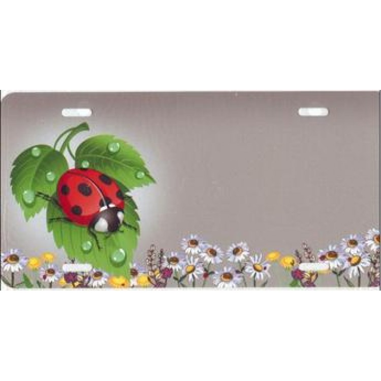 SM397 6 x 12 in. Ladybug Offset Text 602.478.2653 within 24 Hours for Personalization License Plate