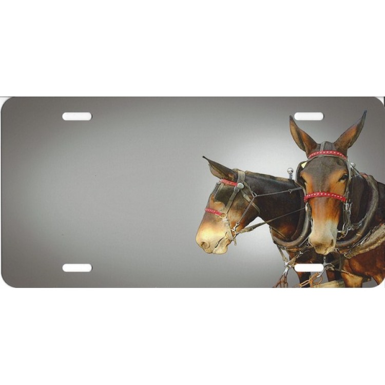 SM421 6 x 12 in. Two Donkeys Airbrush License Plate