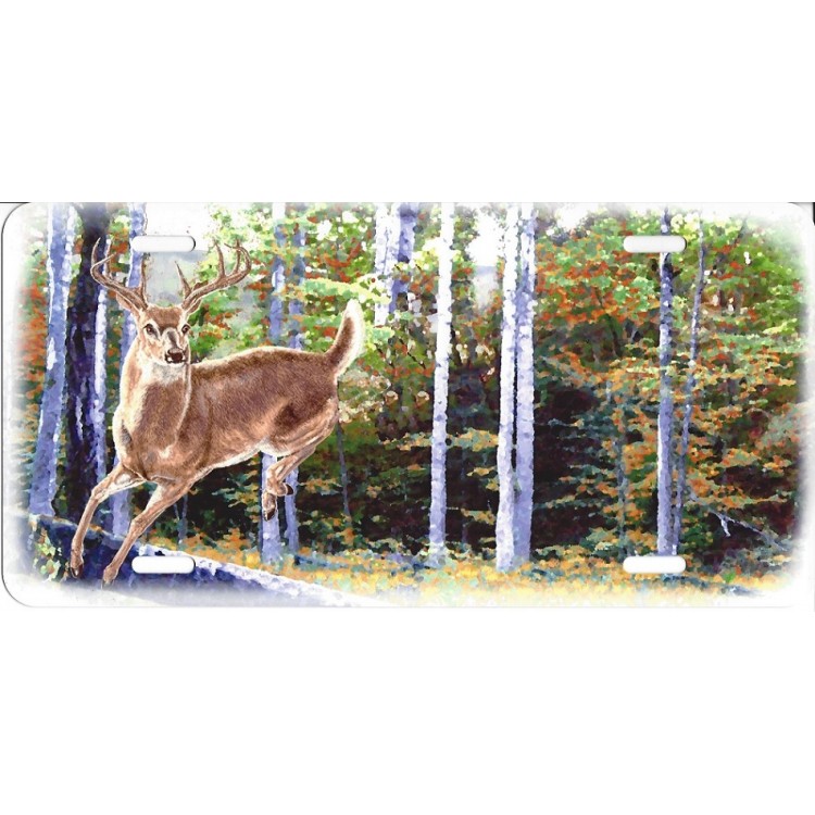 SM553 6 x 12 in. Deer in Forest License Plate