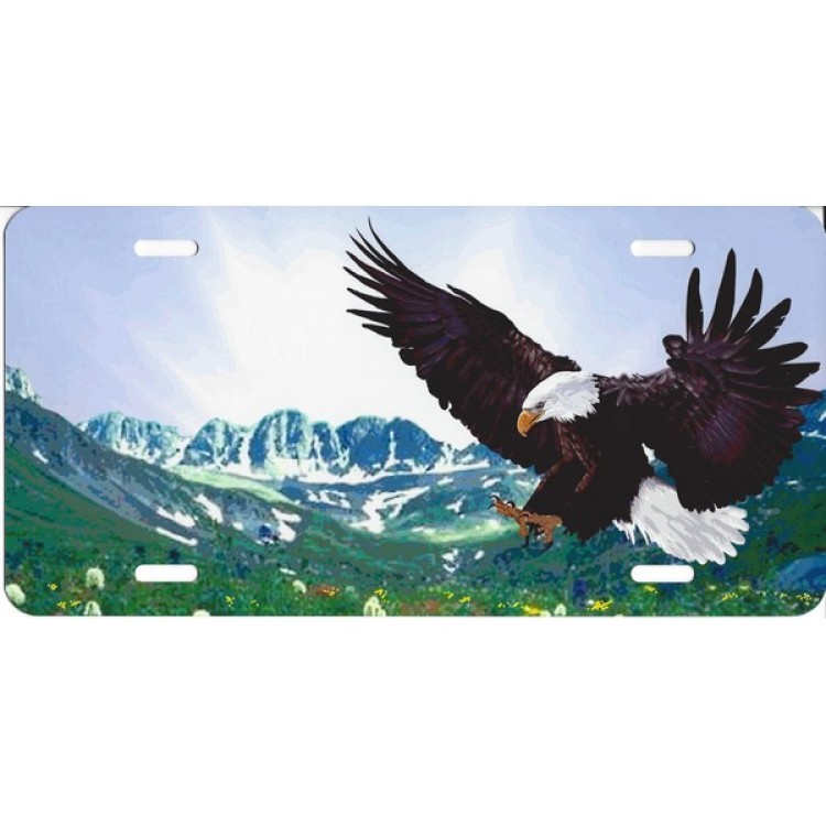 SM555 6 x 12 in. Eagle Landing Offset Airbrush License Plate