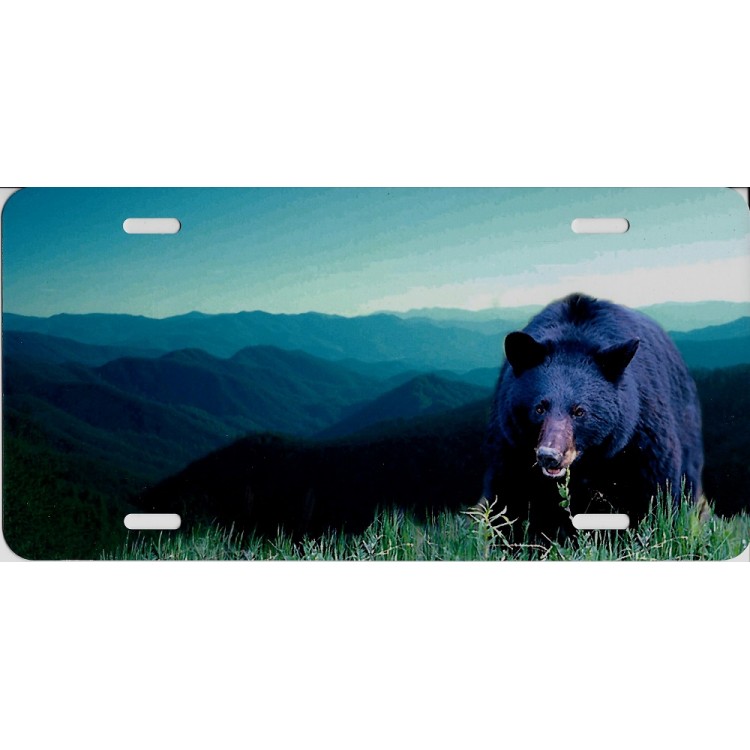 SM574 6 x 12 in. Offset Bear Mountain Scene License Plate