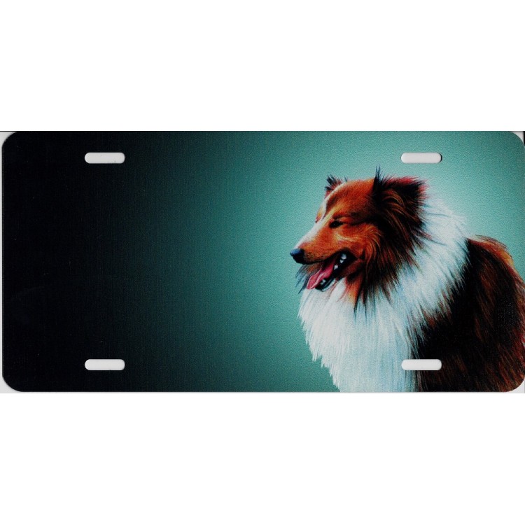 SM598 6 x 12 in. Offset Collie Dog License Plate