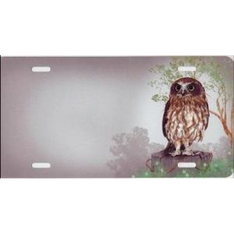 SM627 6 x 12 in. Owl Offset Airbrush License Plate