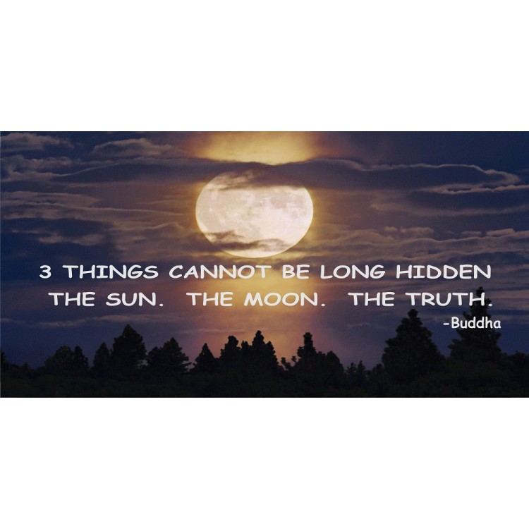 LPO2748 6 x 12 in. 3 Things Cannot Be Long Hidden Moon Photo License Plate