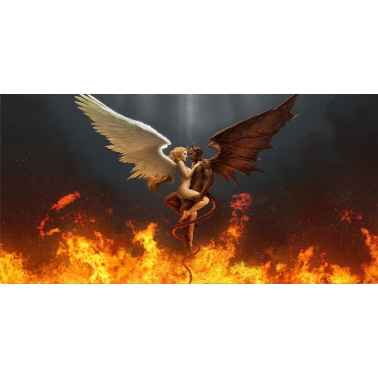 LPO2882 6 x 12 in. Angel & Devil Photo License Plate