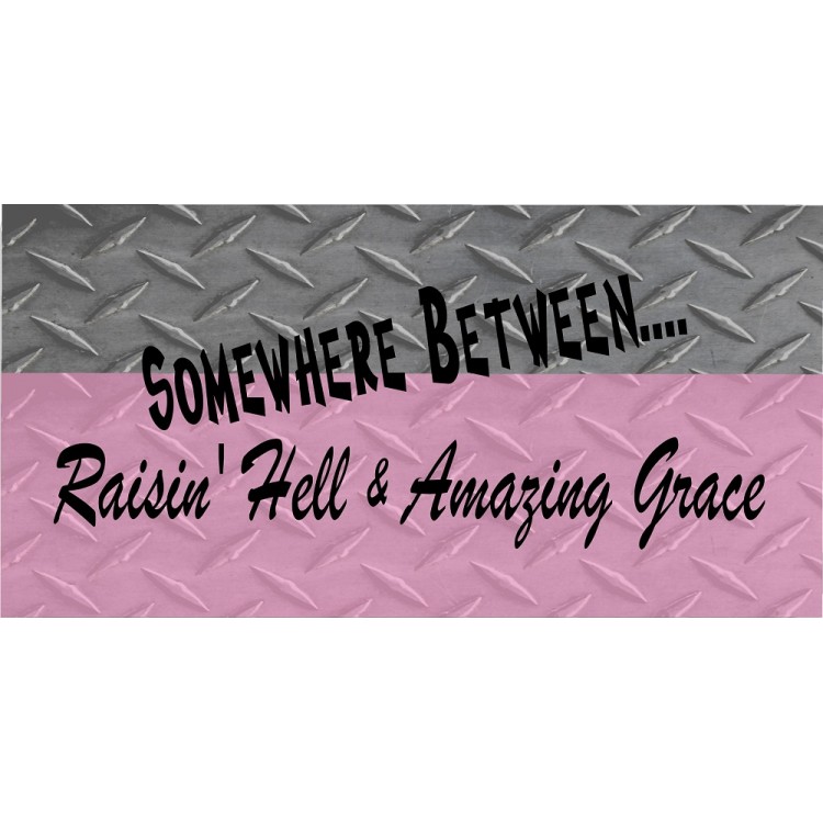 LPO2894 6 x 12 in. Somewhere Between Raising Hell Photo License Plate