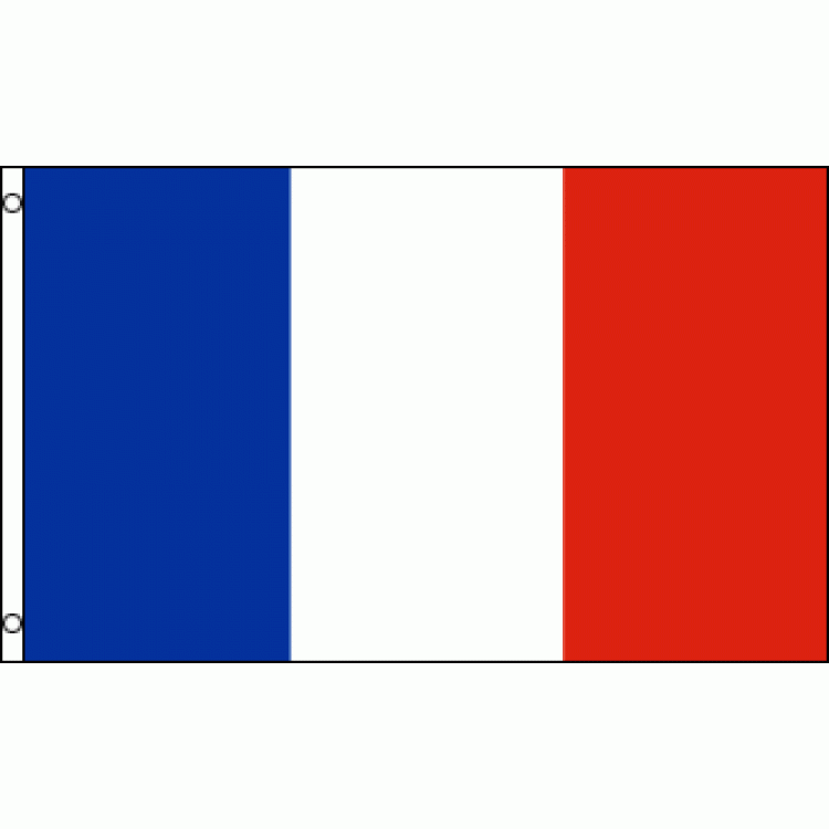 Picture of 212 Main FRANCE35 36 x 60 in. France Polyester Flag