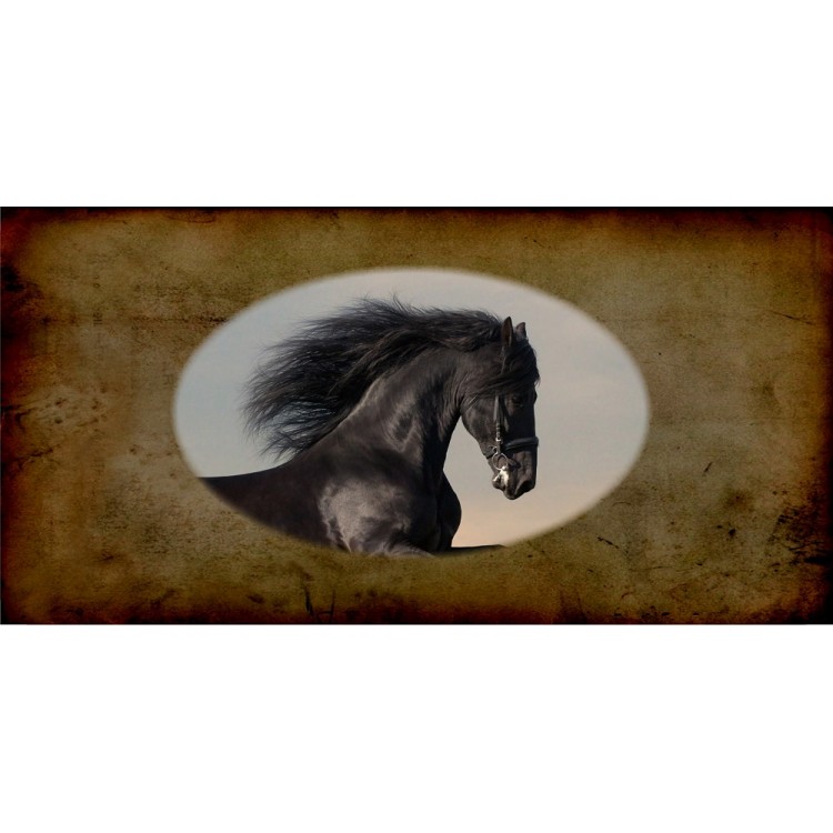 LPO2249 6 x 12 in. Mustang Horse Photo License Plate -  212 Main