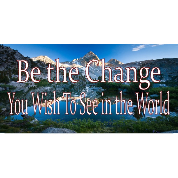 LPO2294 6 x 12 in. Be the Change You Wish to See in the World Photo License Plate