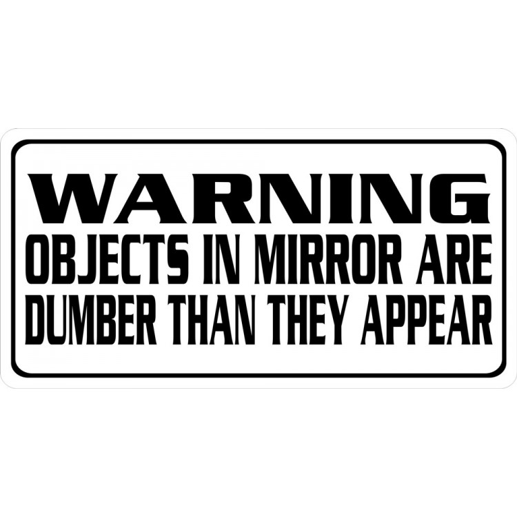 LPO2410 6 x 12 in. Warning Objects in the Mirror Photo License Plate
