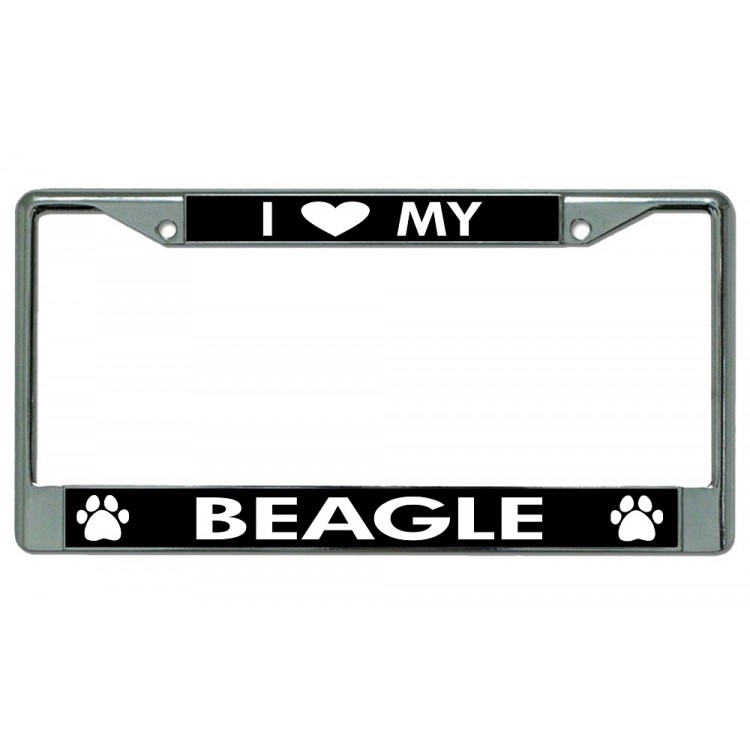 LPO2485 6 x 12 in. I Love My Beagle Chrome License Plate Frame