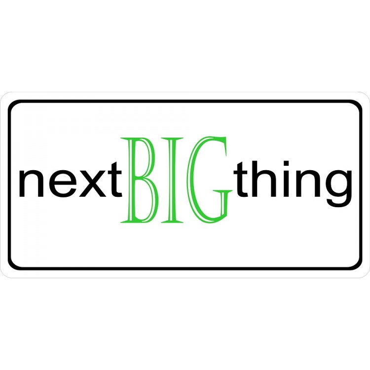 LPO2542 6 x 12 in. Next Big Thing Photo License Plate
