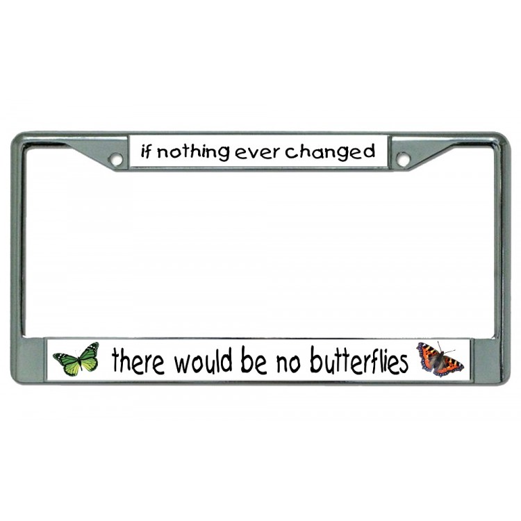 LPO2553 6 x 12 in. If Nothing Ever Changed Butterfly Photo License Plate Frame