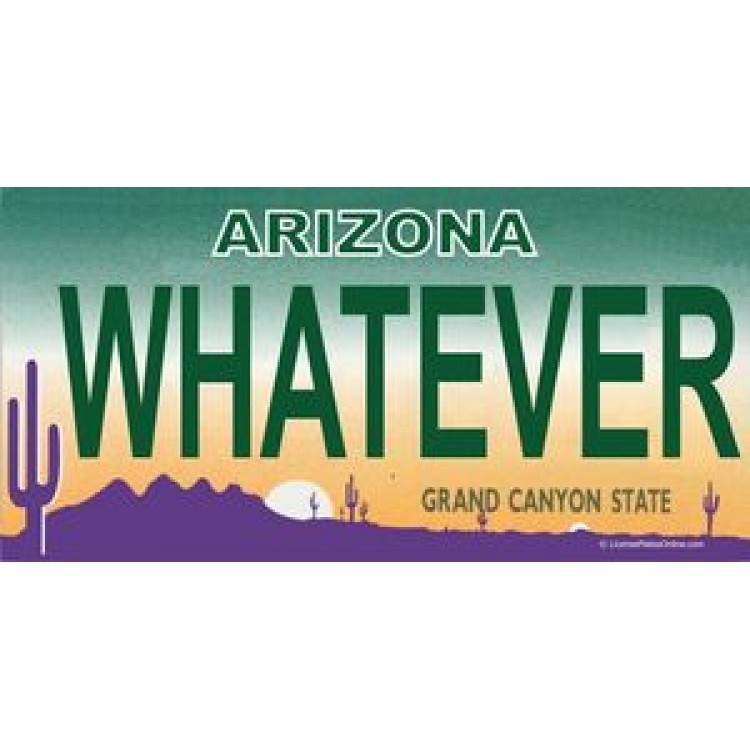 LPO661 Arizona Whatever Photo License Plate