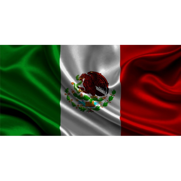Mexican Flag License Plate