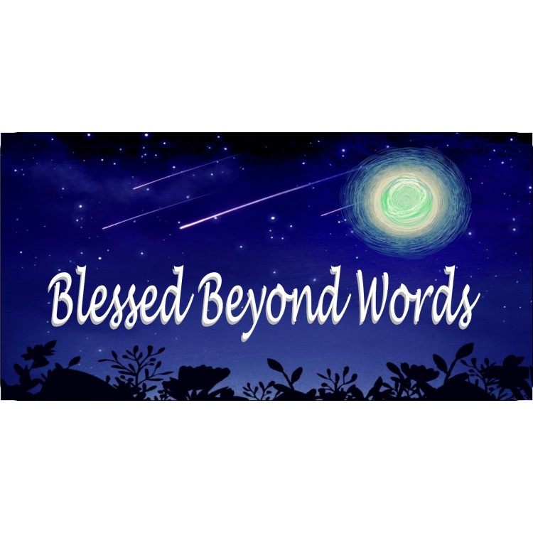 LPO5054 6 x 12 in. Blessed Beyond Words Photo License Plate
