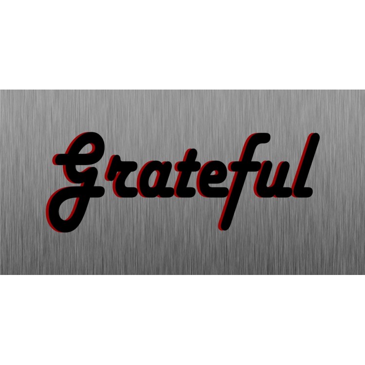 LPO5074 6 x 12 in. Grateful Brushed Photo License Plate