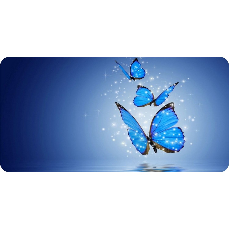 6 x 12 in. Blue Butterflies Photo License Plate