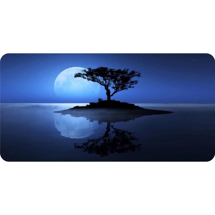 6 x 12 in. Small Island with Moon Photo License Plate