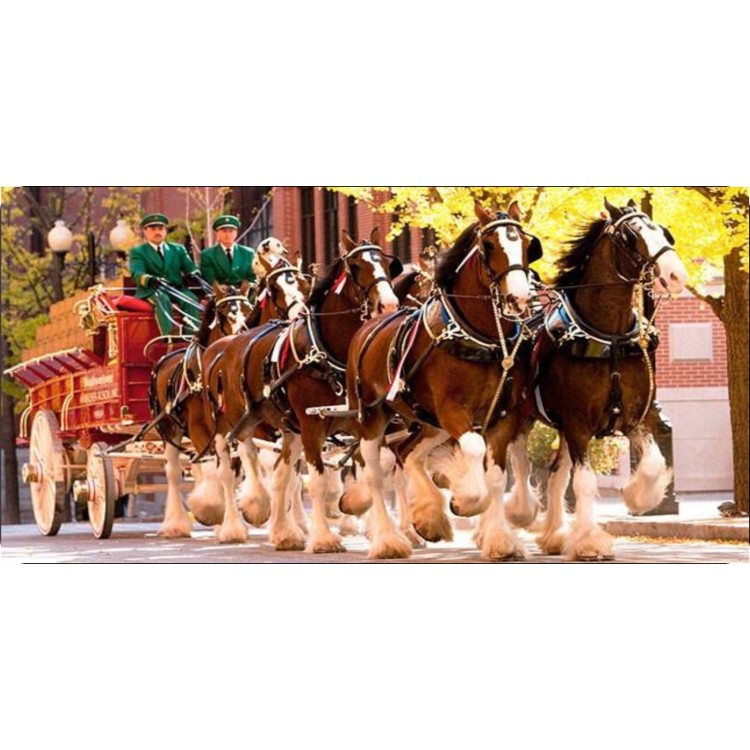 LPO5081 6 x 12 in. Clydesdales Pulling Wagon Photo License Plate
